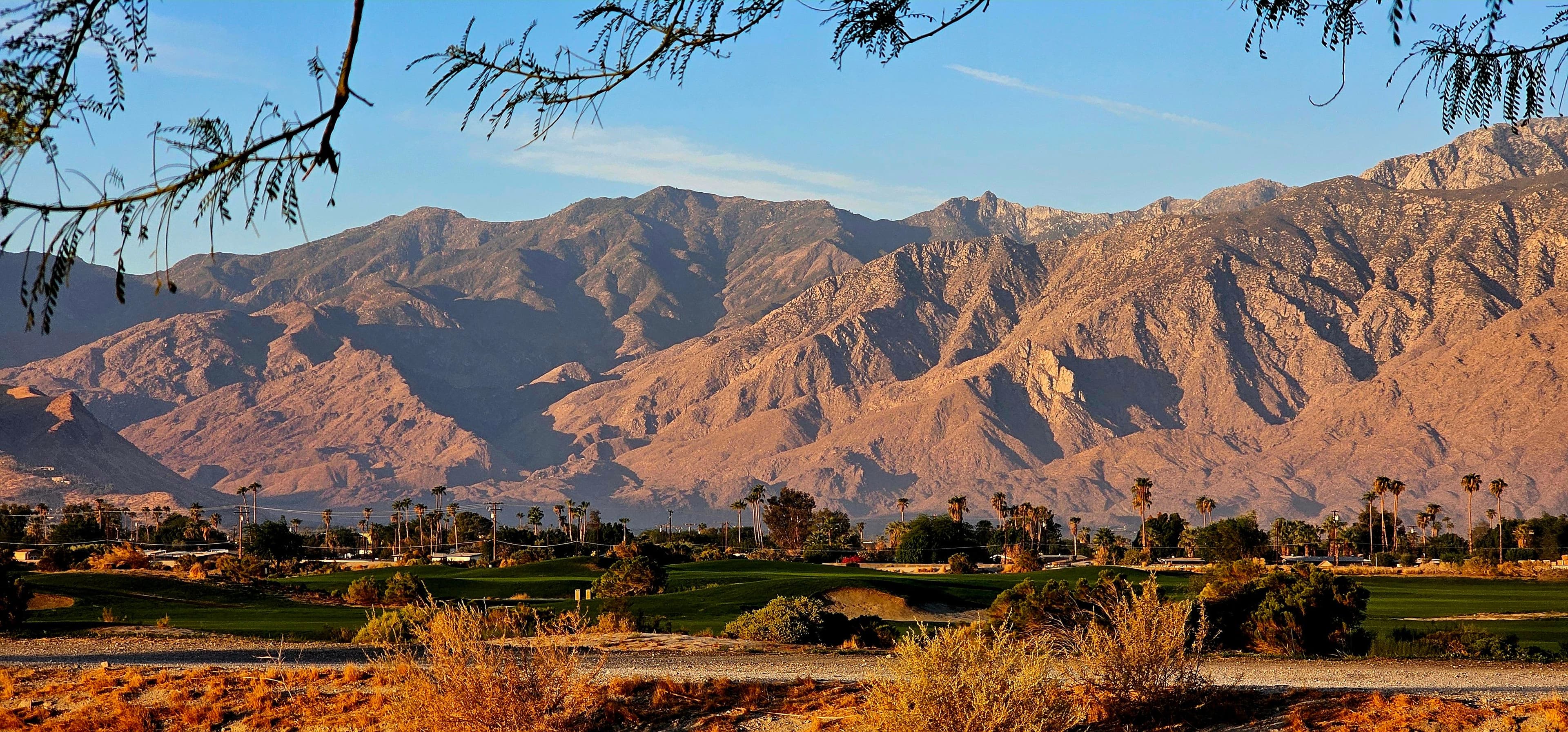 Palm Springs in the morning