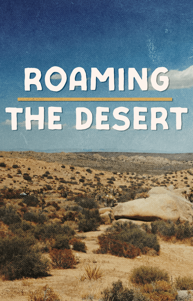 Roaming the Desert